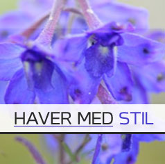 Havearkitekt, haver, haveplan, haveskitser 