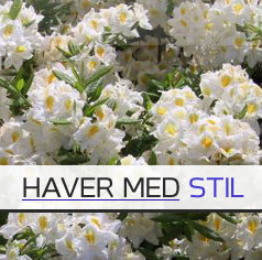 Havearkitekt, haver, haveplan, haveskitser 