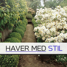 Havearkitekt, haver, haveplan, haveskitser 